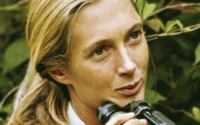 Jane Goodall – 9 · Febrero · 2022
