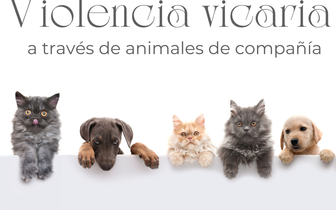 Violencia vicaria: animales de compañía, con Ana Cloquell – 24 · Enero · 2024