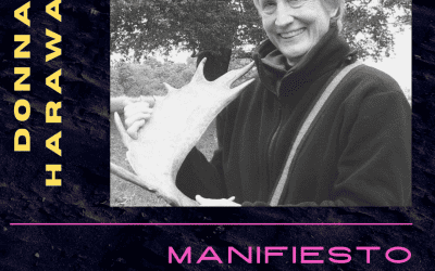 Manifiesto Ciborg, 1984 – 17 · Abril · 2024